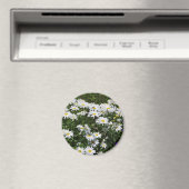 Kamillenmagnet Magnet (In Situ (Geschirrspüler))