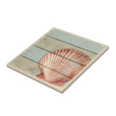 Kamm-Muschel-Muschel Fliese (Seite)