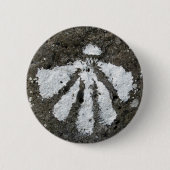 Kamm-Muschel-Muschel-Knopf Button (Vorderseite)