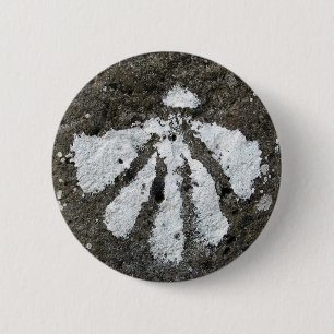 Kamm-Muschel-Muschel-Knopf Button