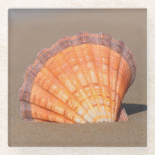 Kamm-Muschel Shell Kreta, Griechenland Glasuntersetzer
