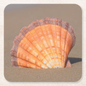 Kamm-Muschel Shell| Kreta, Griechenland Rechteckiger Pappuntersetzer (Vorderseite)