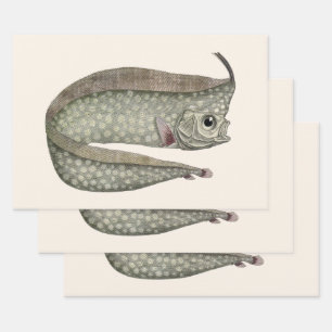 Kamm-Schwertfisch, Vintage Meeresleben Geschenkpapier Set