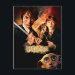 Kammer der Geheimnisse - Französisch Postkarte<br><div class="desc">HARRY POTTER UND DIE KAMMER VON SECRETS™</div>