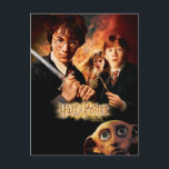 Kammer der Geheimnisse - Französisch Postkarte<br><div class="desc">HARRY POTTER UND DIE KAMMER VON SECRETS™</div>