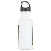 Kammer der Vertreter, Brüssel, Belgien Trinkflasche (Rückseite)