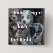 Kampf, damit Recht Hunde anhebt Button (Vorderseite)