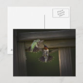 Kampf für den Power Postkarte (Vorne/Hinten)