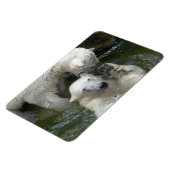 Kampf gegen Polarbären Magnet (Linke Seite)