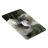 Kampf gegen Polarbären Magnet (Rechte Seite)