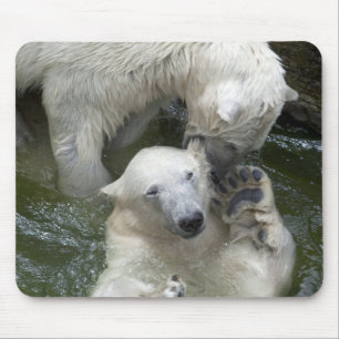 Kampf gegen Polarbären Mousepad