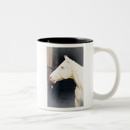 Kampf gegen Rocky Fight Tasse