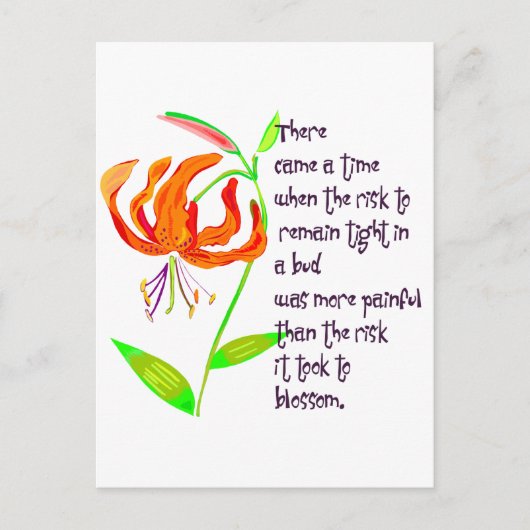 Kampf in einem Bug Postkarte (Vorderseite)