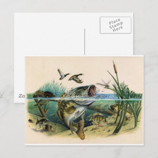 Kampf Postkarte (Vorne/Hinten)