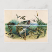 Kampf Postkarte (Vorderseite)