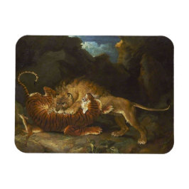 Kampf zwischen Löwen und Tiger Magnet