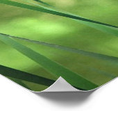 Kämpfe am Teich Poster (Ecke)