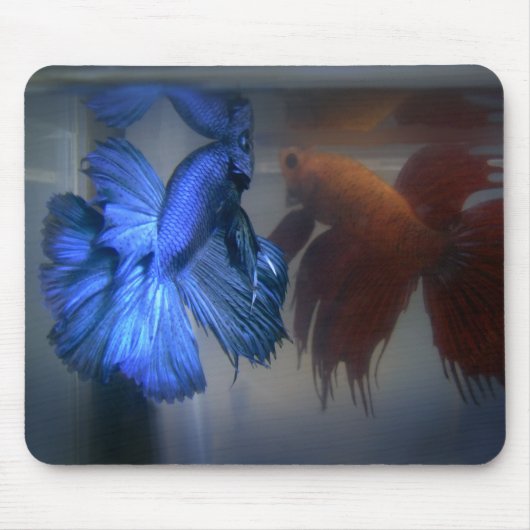 Kämpfende Fische Mousepad (Vorne)