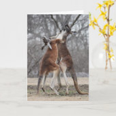 Kämpfende Känguru-Gruß-Karte Karte (Gelbe Blume)