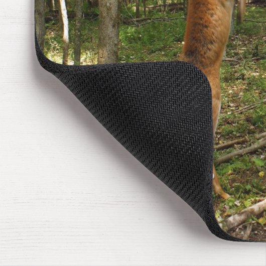 Kämpfende Whitetail-Dollars Mousepad (Ecke)