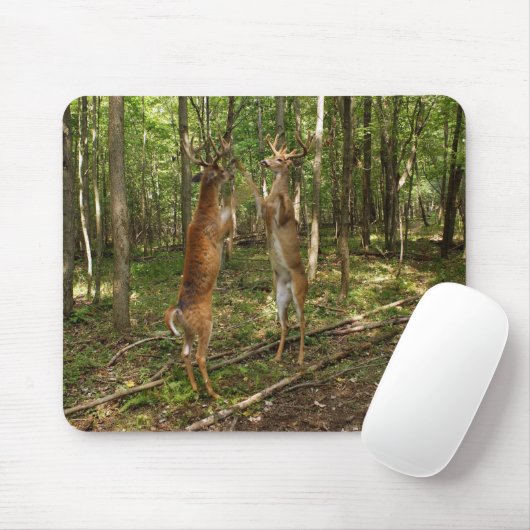 Kämpfende Whitetail-Dollars Mousepad (Mit Mouse)