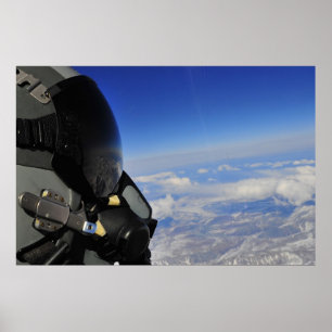 Kämpfender Falke-Pilot Poster