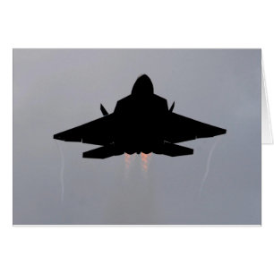 KÄMPFER DER HEIMLICHKEITS-F-22