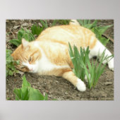Kämpfer im Garten Poster (Vorne)