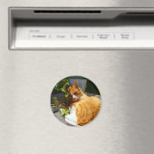 Kämpfer in einem Topf Magnet (In Situ (Geschirrspüler))