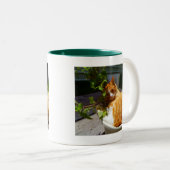 Kämpfer in einem Topf Zweifarbige Tasse (VorderseiteRechts)