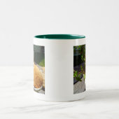 Kämpfer in einem Topf Zweifarbige Tasse (Mittel)