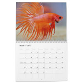 Kampffisch 2027 kalender (Mär 2027)