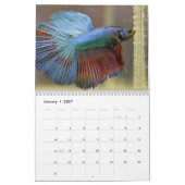 Kampffisch 2027 kalender (Jan 2027)
