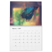 Kampffisch 2027 kalender (Feb 2027)