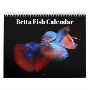 Kampffisch 2027 Kalender