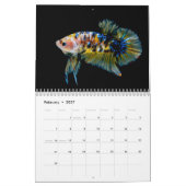 Kampffisch 2027 Kalender (Feb 2027)