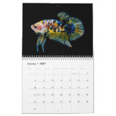 Kampffisch 2027 Kalender (Jan 2027)