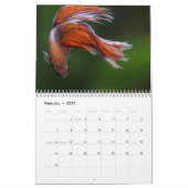 Kampffisch 2027 Kalender (Feb 2027)