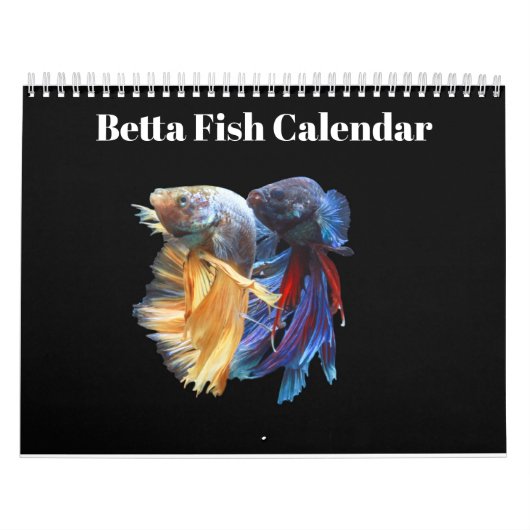 Kampffisch 2027 Kalender (Titelbild)