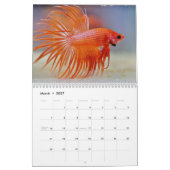 Kampffisch 2027 Kalender (Mär 2027)