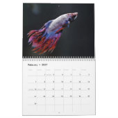 Kampffisch 2027 Kalender (Feb 2027)