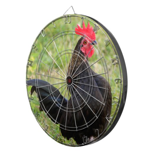 Kampfflugzeug Dartscheibe (Vorderseite rechts)