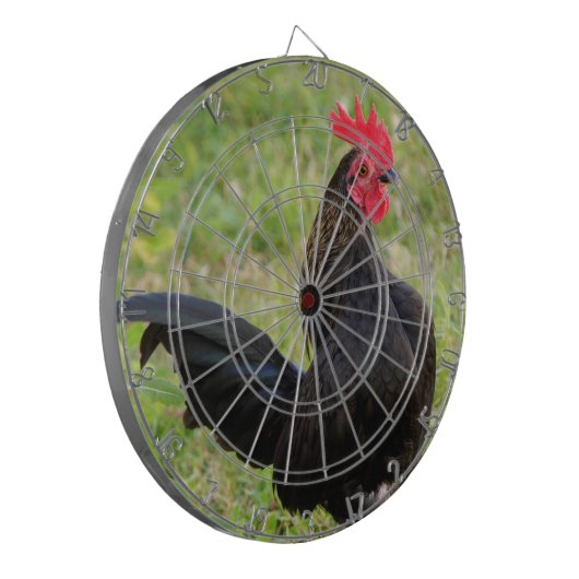 Kampfflugzeug Dartscheibe (Vorderseite Links)