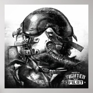 Kampfflugzeug-Eigentum Poster