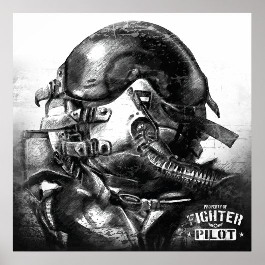 Kampfflugzeug-Eigentum Poster (Vorne)