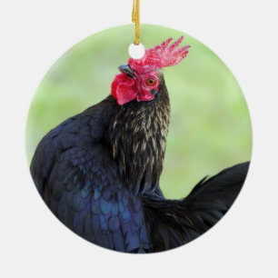 Kampfflugzeug Keramik Ornament