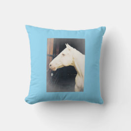 Kampfflugzeug-Kissen Kissen