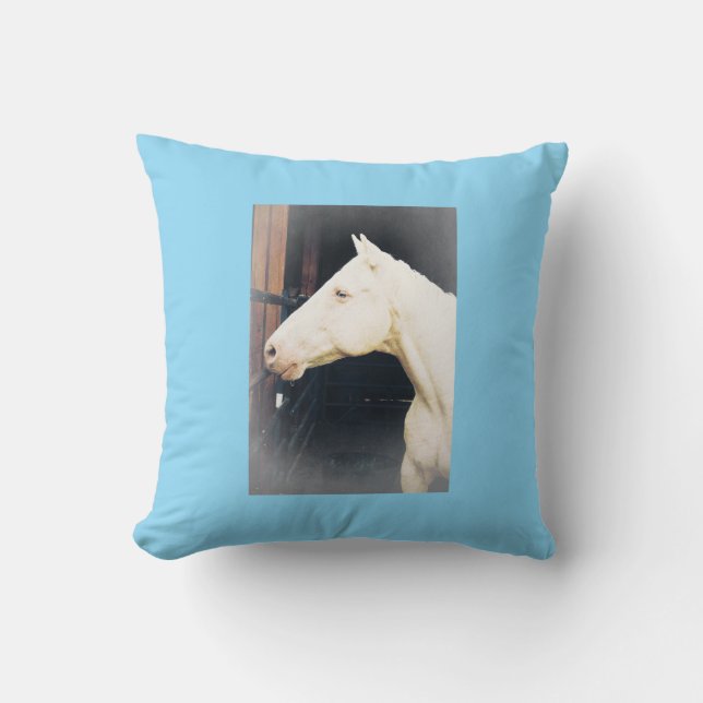 Kampfflugzeug-Kissen Kissen (Vorderseite)