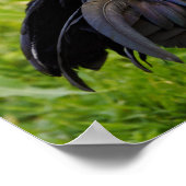 Kampfflugzeug Poster (Ecke)