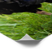 Kampfflugzeug Poster (Ecke)